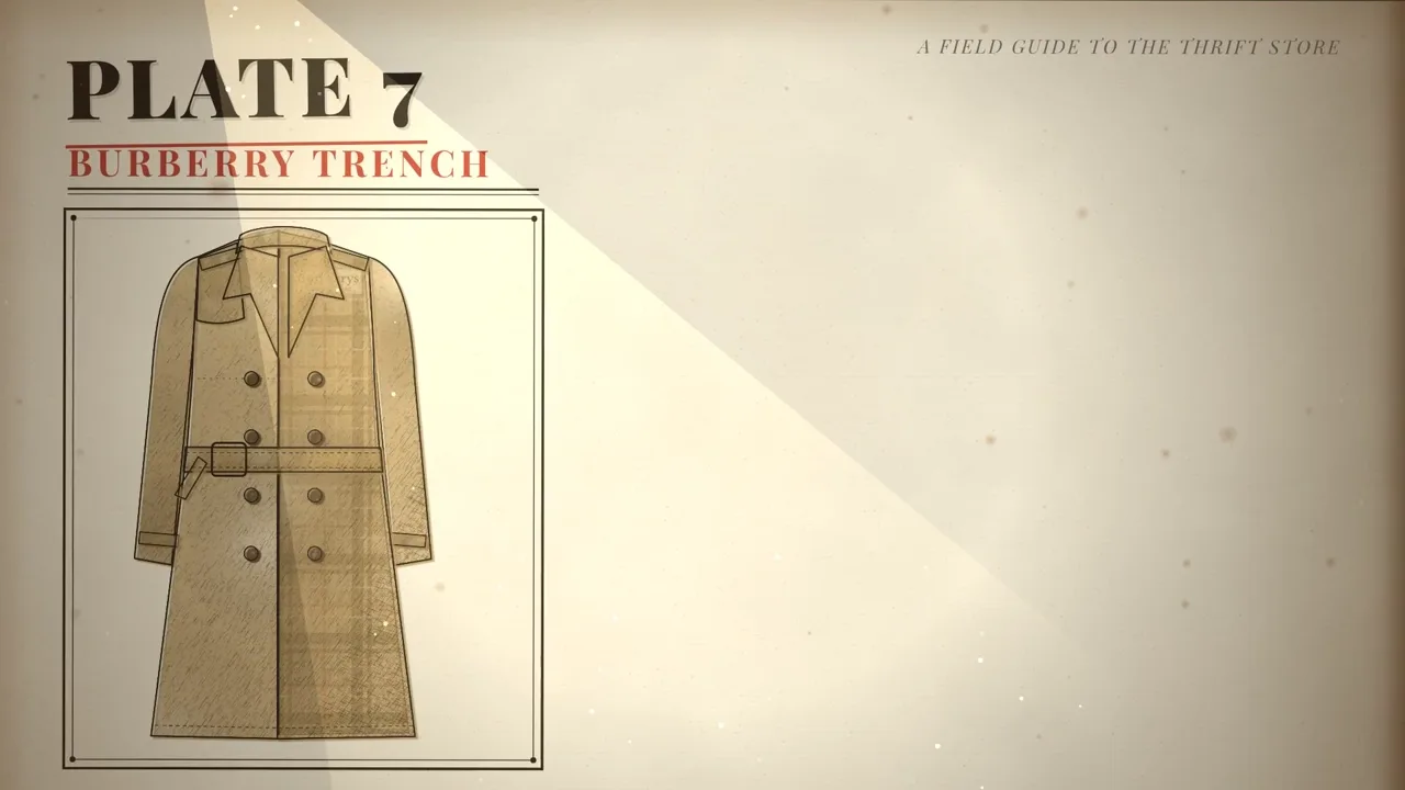 Field guide plate of a tan belted trench coat headed Plate 7, Burberry Trench